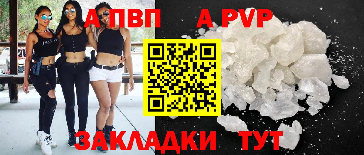 A-PVP СК Ярославль