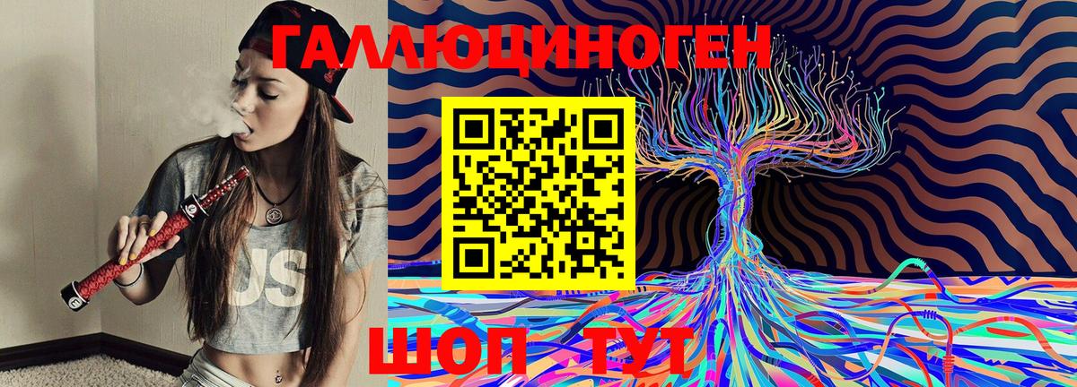 Псилоцибиновые грибы Psilocybe Ярославль