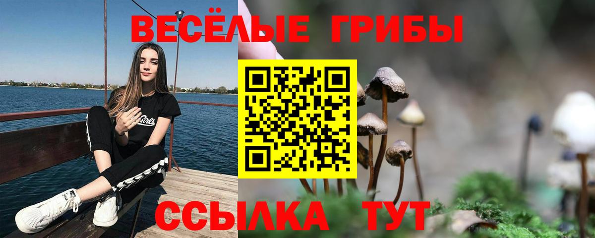 Ярославль  Псилоцибиновые грибы GOLDEN TEACHER  Вход с VPN  что такое   Псилоцибиновые грибы Psilocybine cubensis 